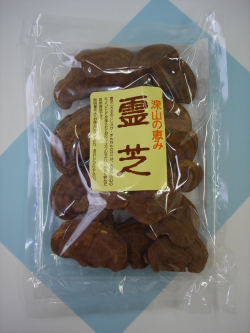 ��ǯ������ǡ�