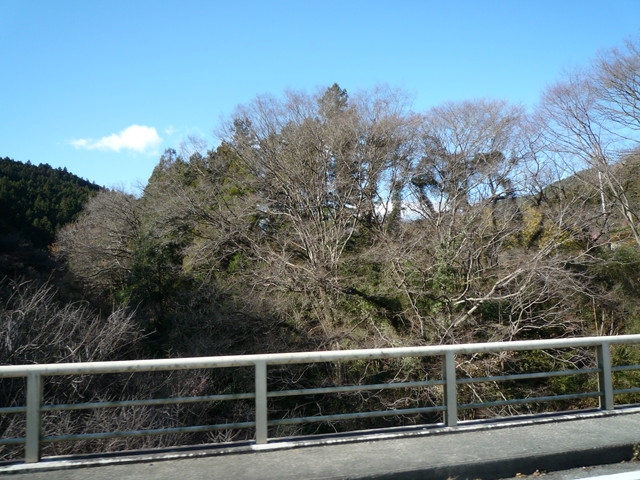 草木ダム周辺