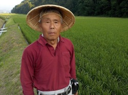はざかけ米