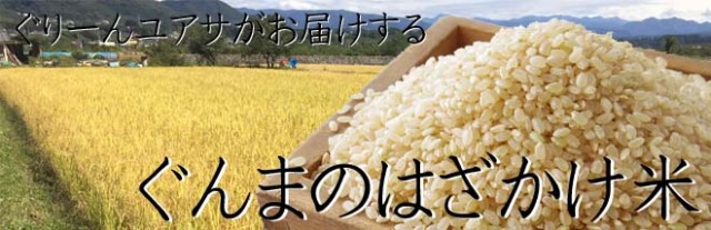 令和2年 はざかけ米5kg玄米 群馬県産コシヒカリ 令和2年 はざかけ米5kg玄米 群馬県産コシヒカリ